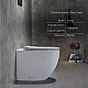 Унітаз підлоговий Qtap Robin Ultra Quiet безобідковий з сидінням Soft-close QT13223381AW