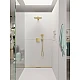 Верхний душ Polished Gold Optic Hansgrohe Raindance Select E 300 1jet Air 26238990