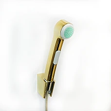 Гігієнічний душ зі шлангом та тримачем Polished Gold Optic HANSGROHE 32129990