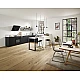 Смеситель кухонный с вытяжным изливом Hansgrohe Talis M54 270 1jet 72808000