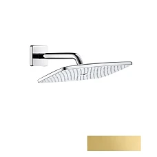 Верхний душ HANSGROHE Raindance E 27371990 