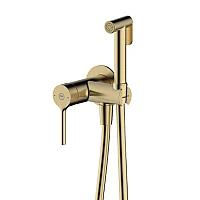 Гигиенический душ скрытого монтажа Armaform Silvia Gold 2039-512-31