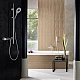 Ручной душ Grohe Rainshower Icon 150 27 639 000 гранит