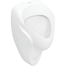 Пісуар Geberit Alex 502.905.00.1