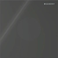 Система электронного управления смывом от батарей для писсуара Geberit 116.034.SJ.1 черный/стекло глянцевое