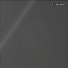 Система электронного управления смывом от батарей для писсуара Geberit 116.034.SJ.1 черный/стекло глянцевое