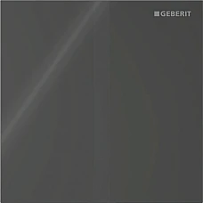 Система электронного управления смывом от сети для писсуара Geberit 116.227.SJ.1 черный/стекло глянцевое