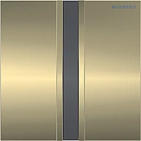 Система управления смывом писсуара питания от сети Geberit 116.026.QF.1 латунь/матовый