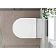 Сидіння для унітазу Hansgrohe EluPura S 60200450 SoftClose and QuickRelease, Slim