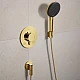 Шлангове під'єднання Hansgrohe FixFit Fine S зі зворотнім клапаном 28882990 золото