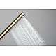 Ручной душ 100 1jet EcoSmart Pulsify S Hansgrohe 24125140 Brushed Bronze