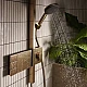 Душевая система Hansgrohe Raindance Alive Q 210/340 2jet EcoSmart из ShowerSelect Comfort 24591140 бронза