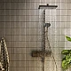 Душевая система Hansgrohe Raindance Alive Q 210/340 2jet EcoSmart из ShowerSelect Comfort 24591140 бронза