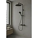 Душевая система с термостатом Hansgrohe Raindance Alive S Puro 300 1jet EcoSmart Ecostat Element 24593340 черный матовый хром