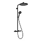 Душевая система с термостатом Hansgrohe Raindance Alive S Puro 300 1jet EcoSmart Ecostat Element 24593340 черный матовый хром