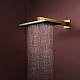 Верхній душ з тримачем Hansgrohe Alive Q 210/340 2jet 24550990 золото