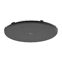 Верхній душ Hansgrohe Raindance Alive S 300 1jet EcoSmart 24521000 хром