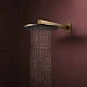 Верхній душ Hansgrohe Raindance Alive S 300 1jet 24520140 бронза