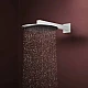Верхній душ Hansgrohe Raindance Alive S 300 1jet EcoSmart 24521700 білий матовий