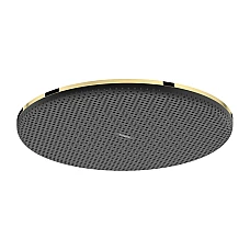 Верхній душ Hansgrohe Raindance Alive S 300 1jet EcoSmart 24521990 золото