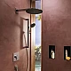 Верхній душ з тримачем Hansgrohe Raindance Alive S 300 2jet EcoSmart 24541990 золото