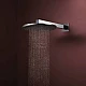 Верхний душ с держателем Hansgrohe Raindance Alive S 300 2jet 24540000 хром