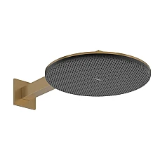 Верхній душ з тримачем Hansgrohe Raindance Alive S 300 2jet 24540140 бронза
