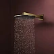 Верхній душ з тримачем Hansgrohe Raindance Alive S 300 2jet EcoSmart 24541990 золото