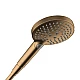 Ручной душ Hansgrohe Raindance Select S 120 3jet PowderRain EcoSmart+ 26516140 бронза