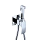 Набір для гігієнічного душу Qtap Swan Cascada QTSWA262CRM45567 хром