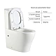 Унитаз напольный Qtap Virgo Ultra Quiet безободковый с сиденьем Soft-Close WHITE QT18226092AW