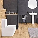 Унитаз напольный Grohe Euro Ceramic 39338000 белый