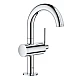 Смеситель для умывальника Grohe Atrio M-Size 32043003