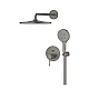 Душова система прихованого монтажу GROHE Essence Rainshower Mono 310, графіт матовий, 25287AL0