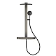 Душова система з термостатом GROHE Rainshower Aqua Pure, графіт матовий, 100964AL00