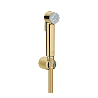 Гігієнічний душ GROHE Tempesta-F Trigger Spray 30, золото глянцеве, 27513GL1