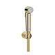 Гігієнічний душ GROHE Tempesta-F Trigger Spray 30, золото глянцеве, 27513GL1