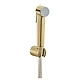 Гігієнічний душ GROHE Tempesta-F Trigger Spray 30, золото матове, 27513GN1